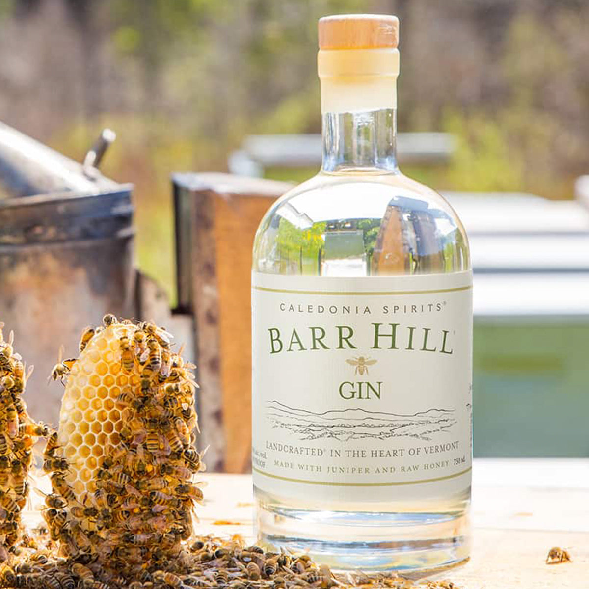 Caledonia Barr Hill Gin 375ML