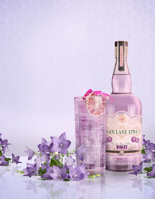 Gin Lane 1751 - Violet